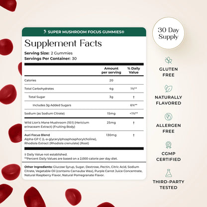 Super Mushroom Focus Gummies